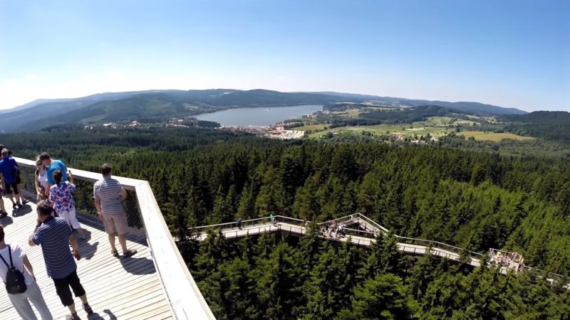 Stezka korunami stromů Lipno nad Vltavou a výhled