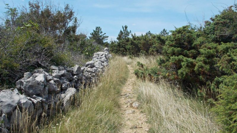 Pohled do vnitrozemí ostrova Krk