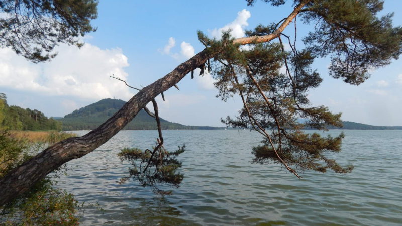 Máchovo jezero má mnoho romantických zákoutí