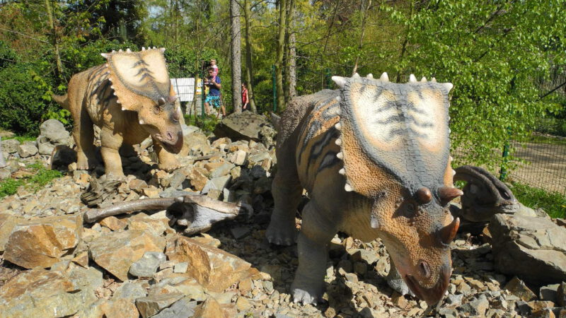 Dinopark Plzeň je úžasné místo plné dobrodružství