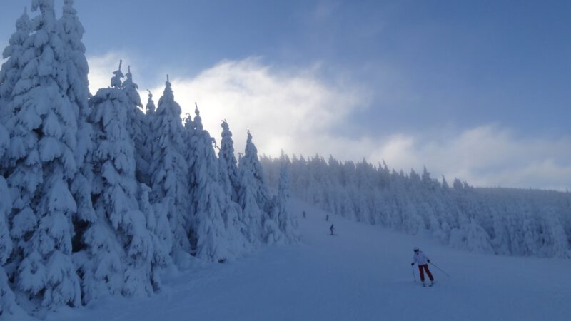 Sníh dokáže čarovat neuvěřitelná kouzla
