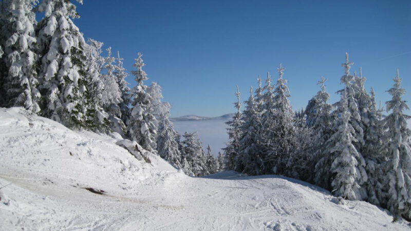 Horní část sjezdovky ve Ski Špičák