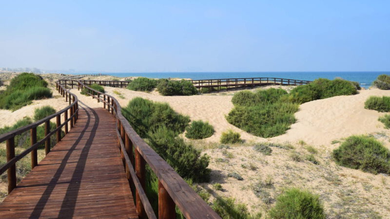 Bridges for a more comfortable crossing of sand dunes 