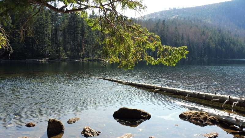 Černé jezero - Nejhlubší jezero v Česku
