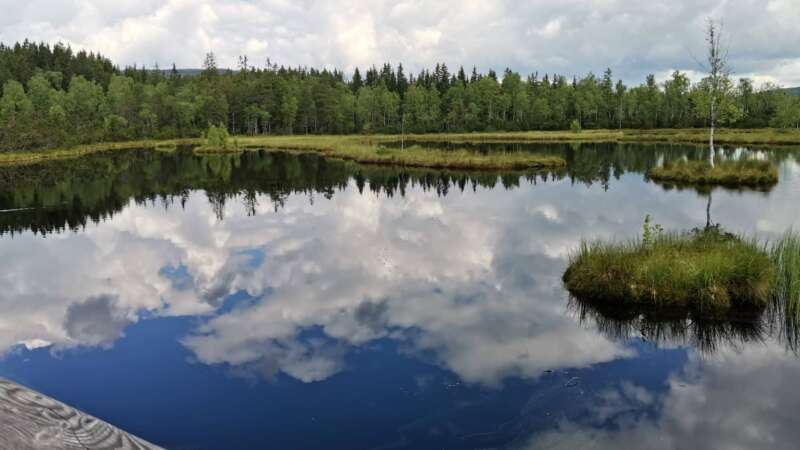 Klidní hladina Chalupské slati