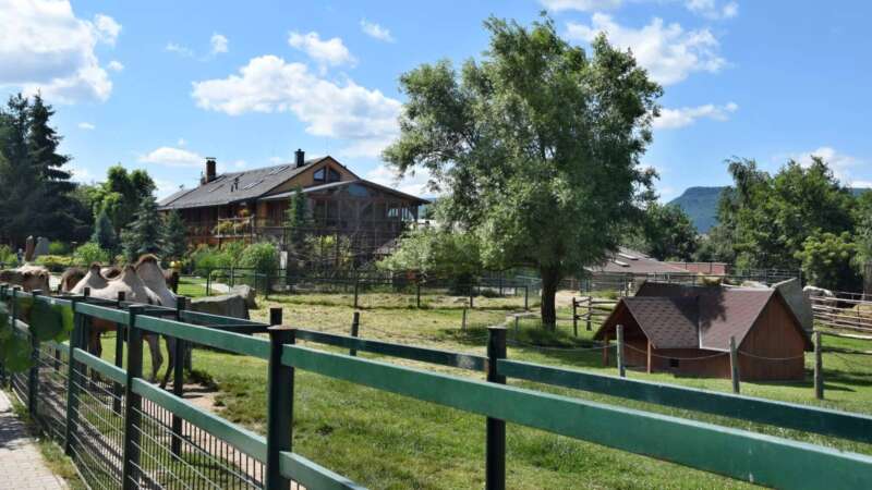 Pohled na farmu Wenet na Broumovsku