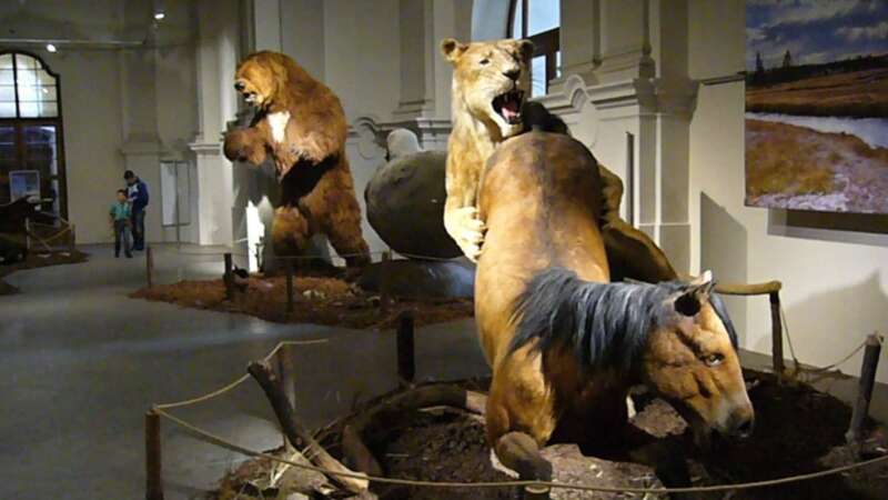 Muzeum je dělané moderně, aby zaujalo i děti