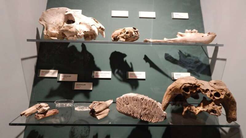 Muzeum vás provede historií i přírodou