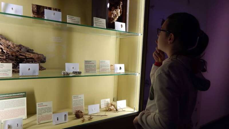 Vlastivědné muzeum Olomouc určitě zaujme vás i vaše děti