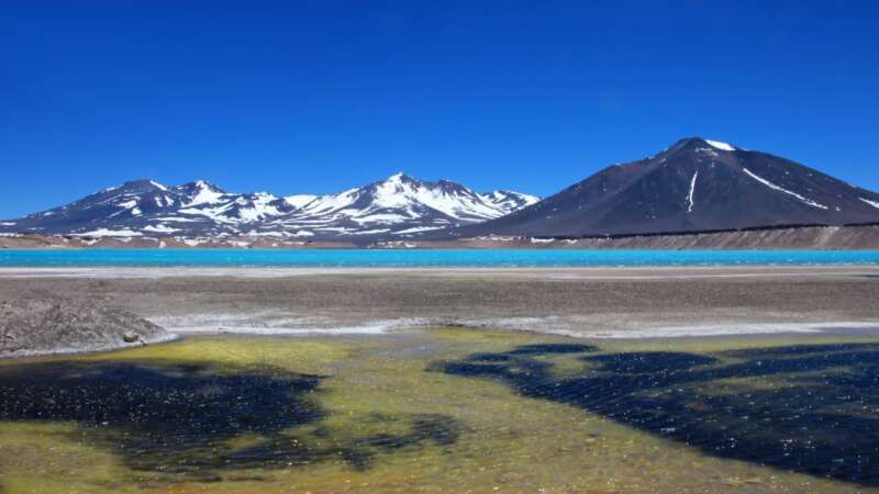 Sopka Nevados Ojos del Salado