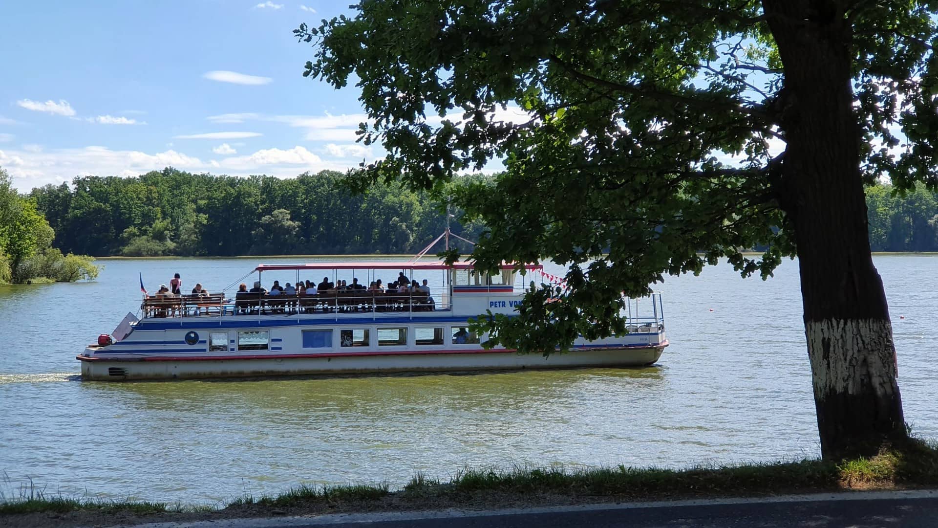 Rybník Svět najdete přímo ve městě
