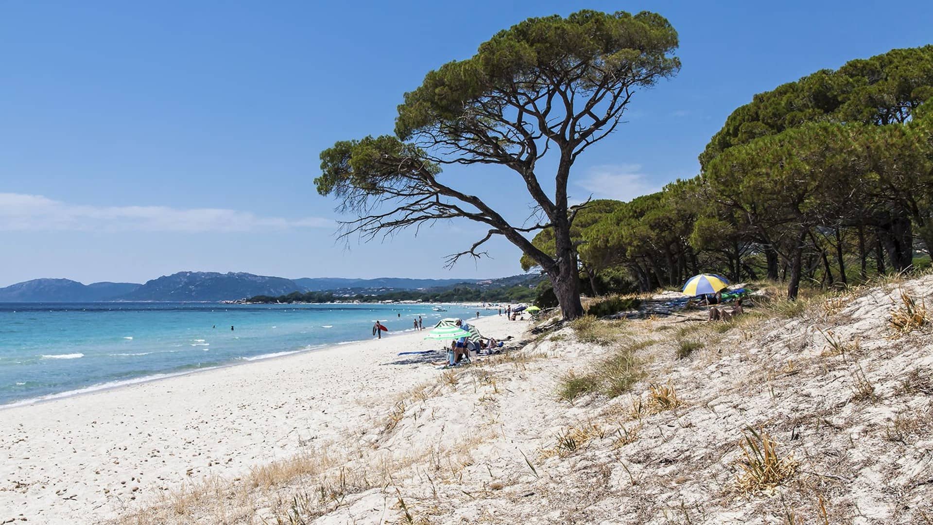Pláž Plage de Palombaggia