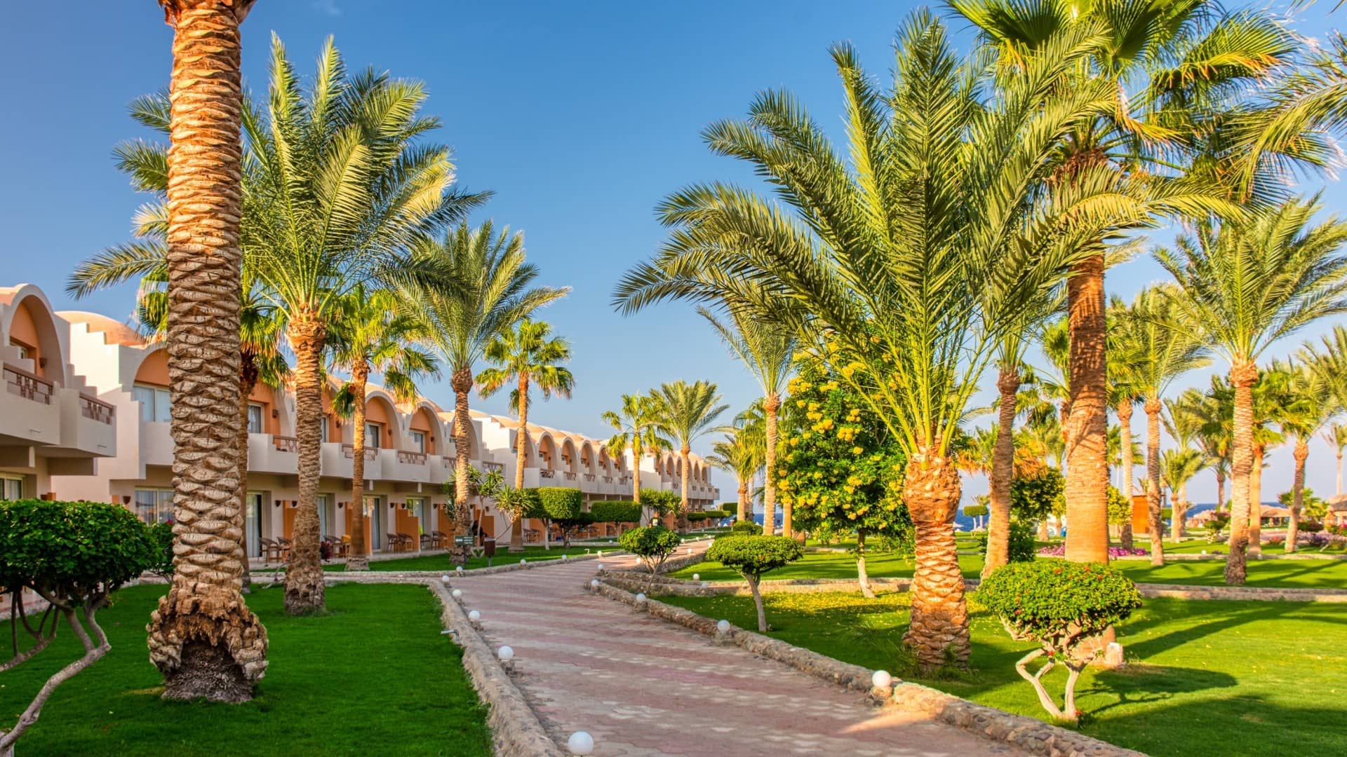 Nejlepší hotely Marsa Alam - Vybrali jsme 10 perfektních hotelů