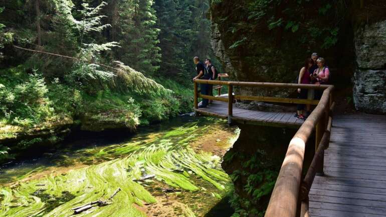 Stezka kolem Kamenice je přístupná už dlouho