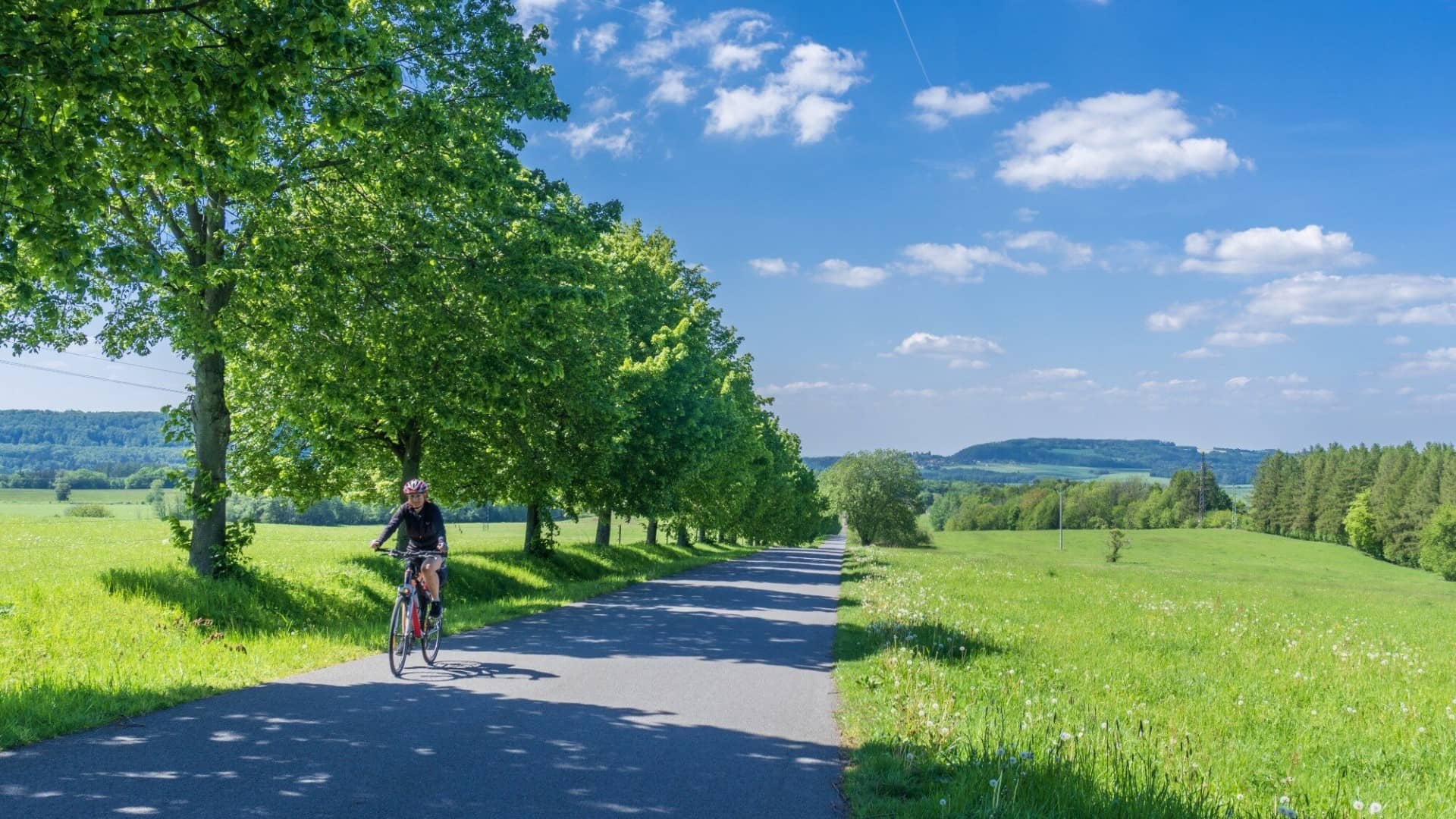 CHKO Železné Hory průvodce s výlety a mapou