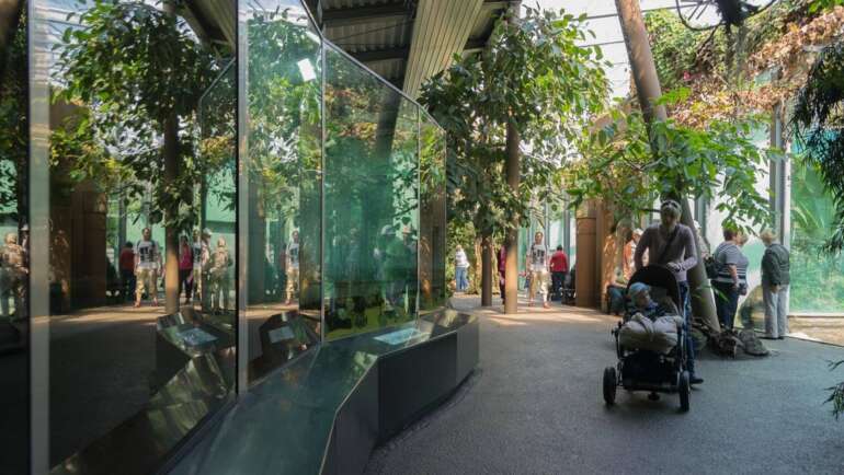 Uvnitř krásné a moderní mnichovské zoo
