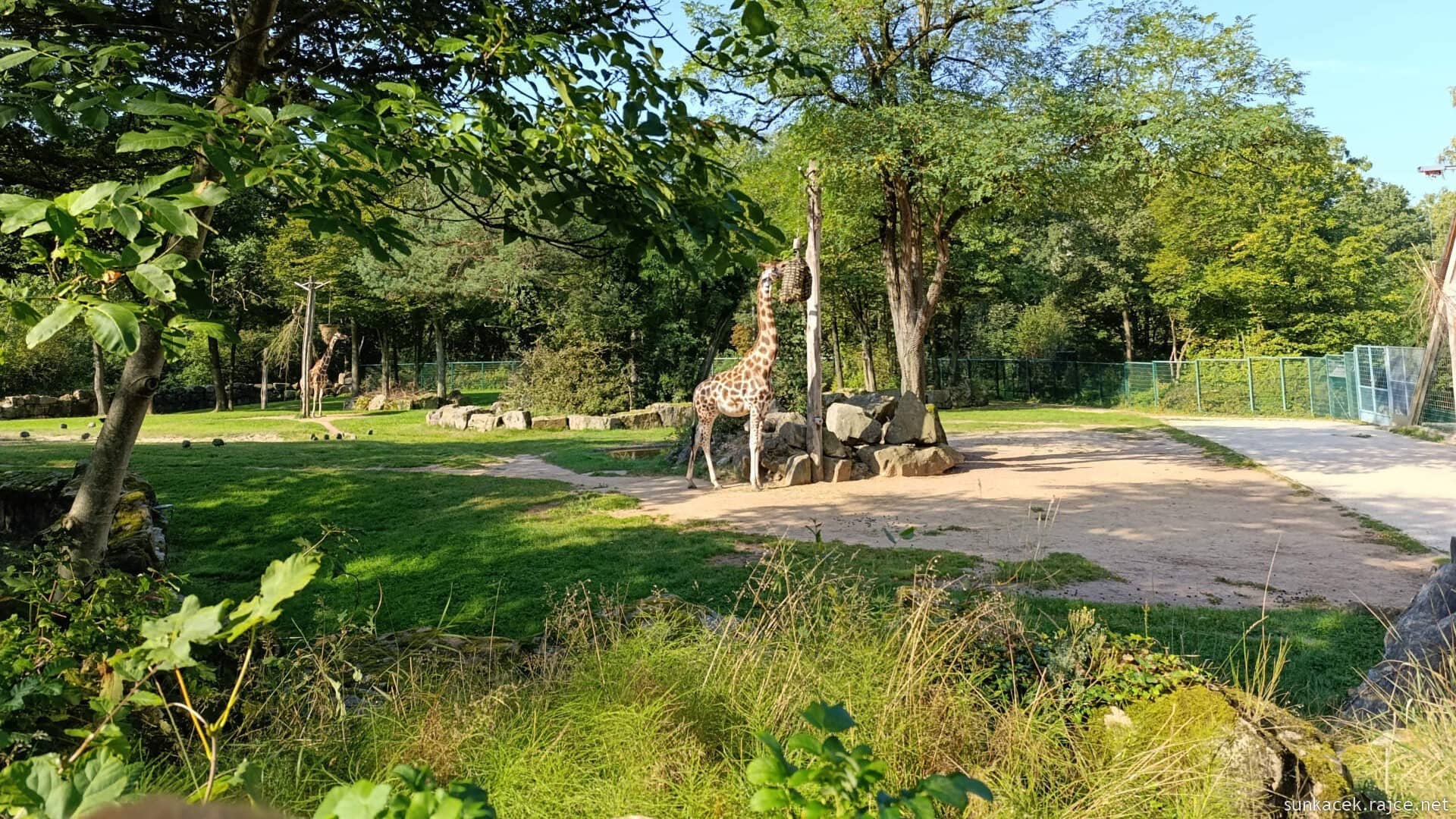 Zoo Norimberk - Moje recenze a průvodce (+ mapa)