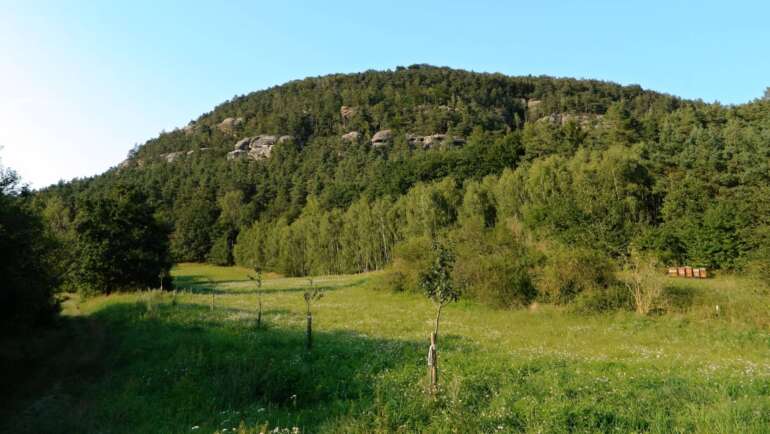 Hora Vlhošť ⛰️ na Kokořínsku – Skvělý tip na výlet